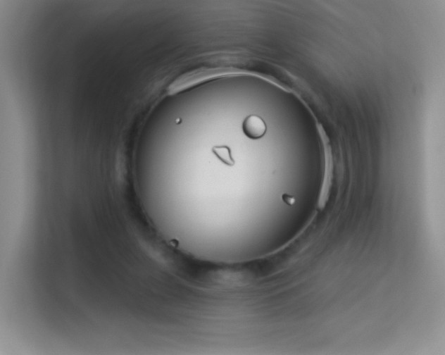 X0000113580255200909251201