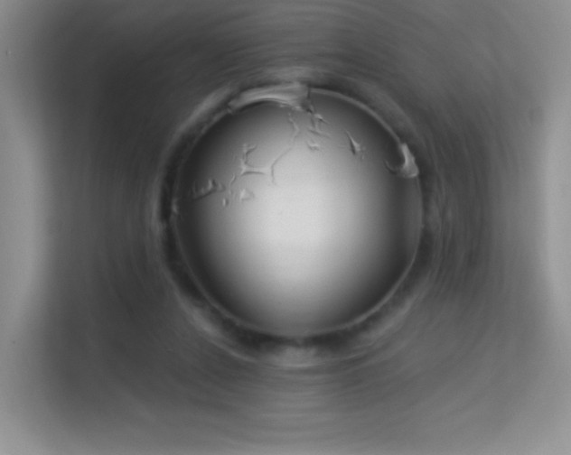 X0000113580256200909251201