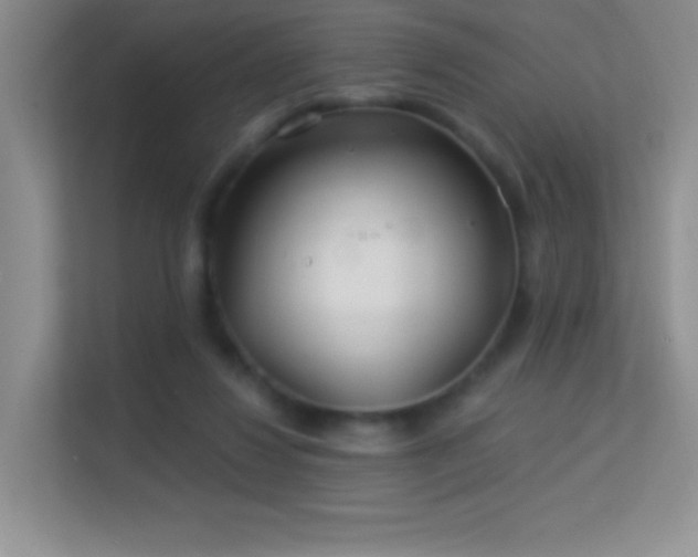 X0000113580260200909251201