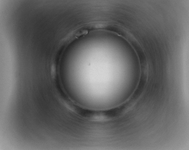 X0000113580262200909251201