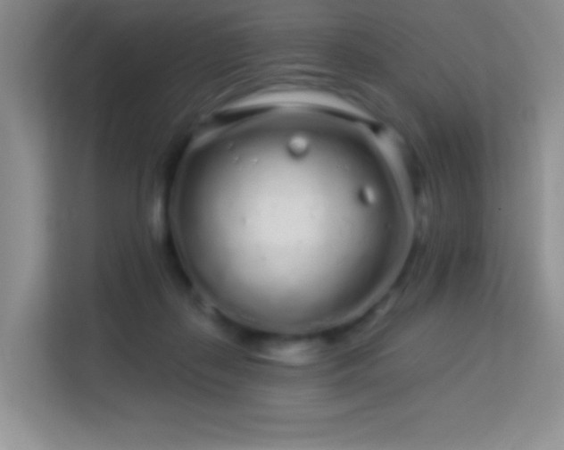 X0000113580267200909251201