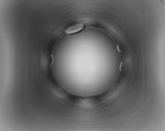 X0000113580268200909251201