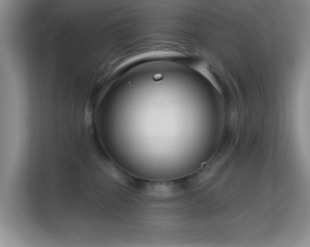 X0000113580282200909251201