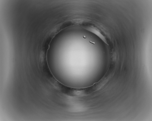 X0000113580283200909251201