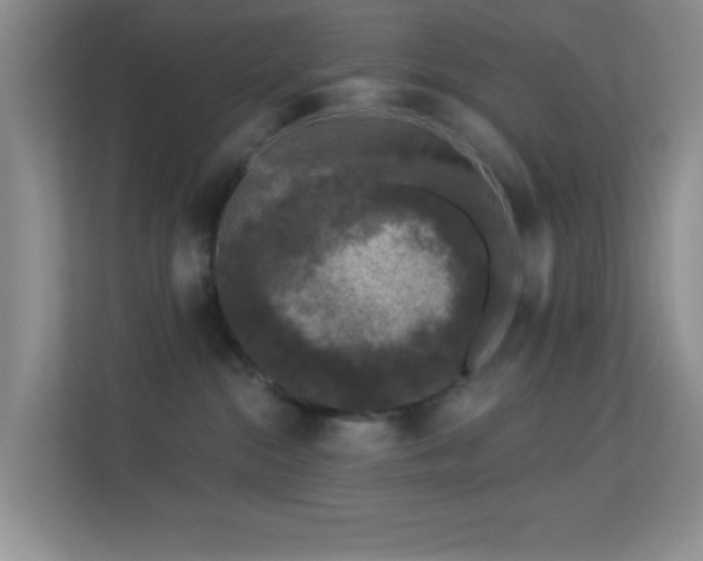 X0000113580284200909251201