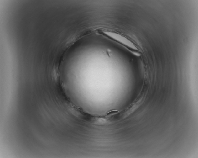 X0000113580285200909251201