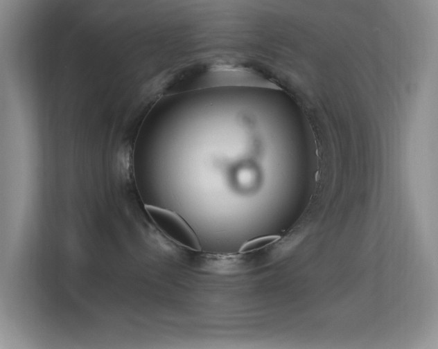 X0000113580288200909251201