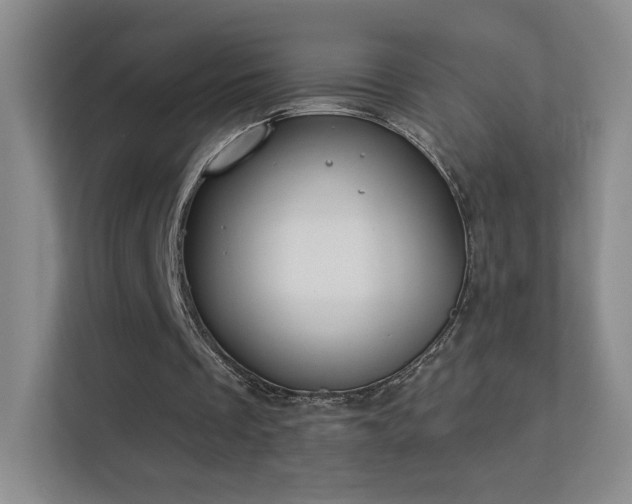 X0000113580289200909251201