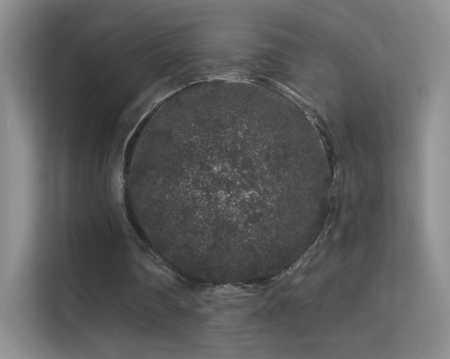 X0000113580290200909251201