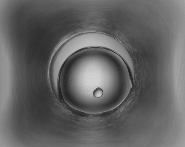 X0000113580292200909251201