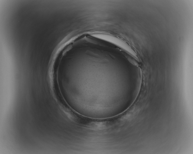 X0000113580295200909251201