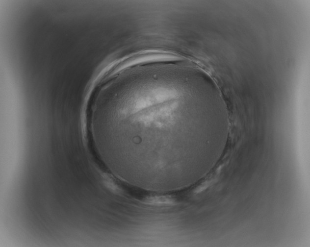 X0000113580296200909251201