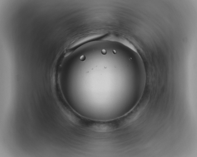 X0000113580299200909251201