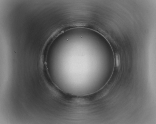 X0000113580300200909251201