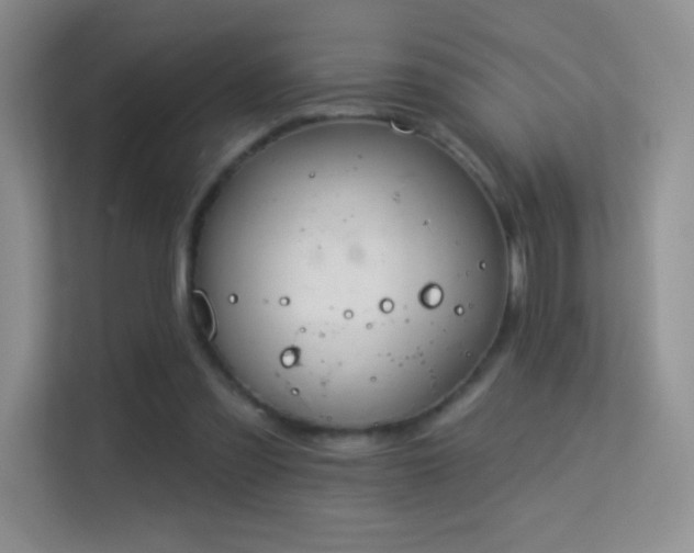 X0000113580301200909251201