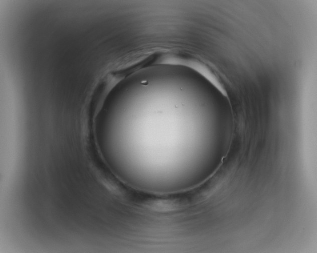 X0000113580303200909251200