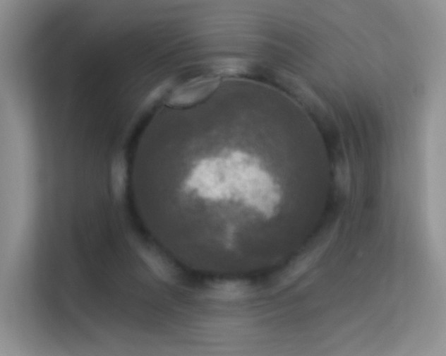 X0000113580304200909251200