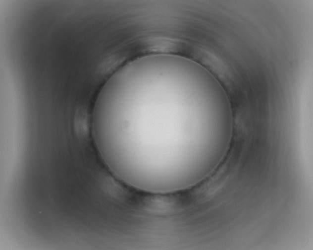 X0000113580305200909251200