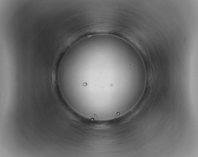 X0000113580309200909251200