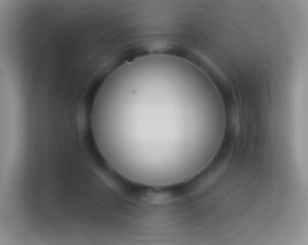 X0000113580311200909251200