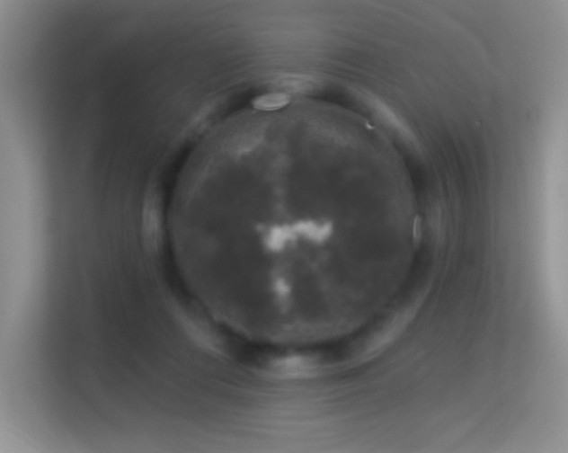 X0000113580312200909251200