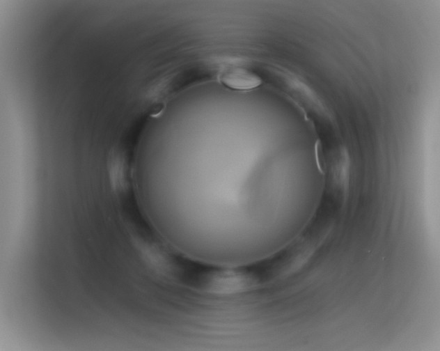 X0000113580316200909251200