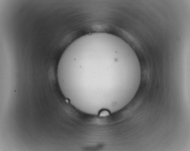 X0000113580317200909251200