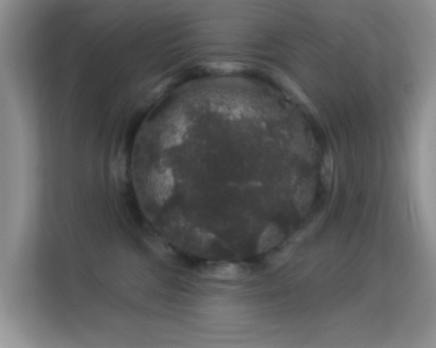 X0000113580330200909251200