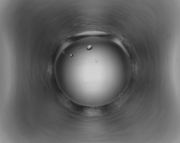 X0000113580331200909251200