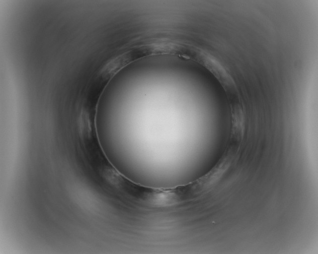 X0000113580333200909251200