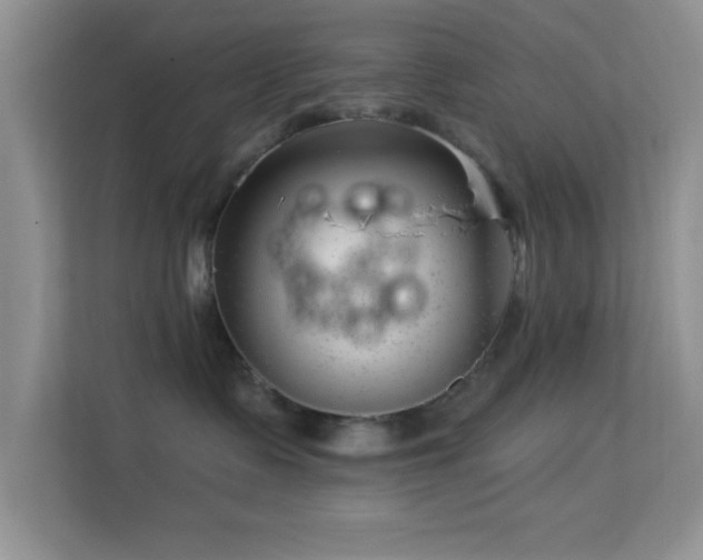 X0000113580335200909251200