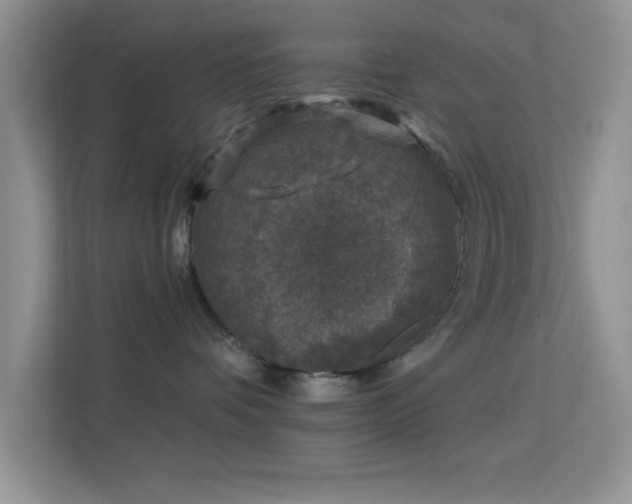 X0000113580336200909251200