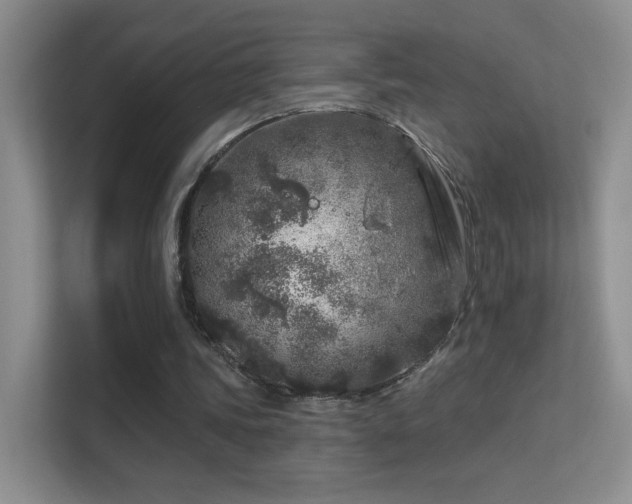 X0000113580339200909251159