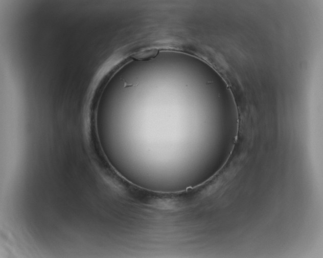 X0000113580344200909251159