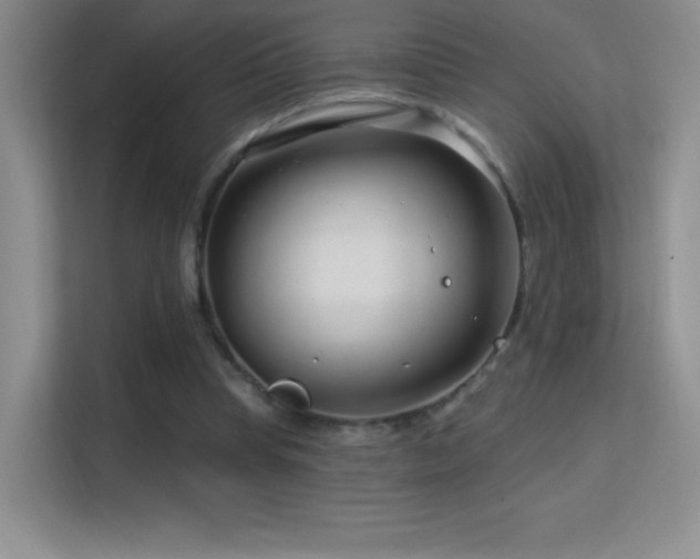 X0000113580345200909251159