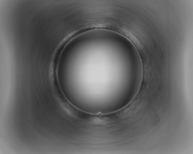 X0000113580346200909251200