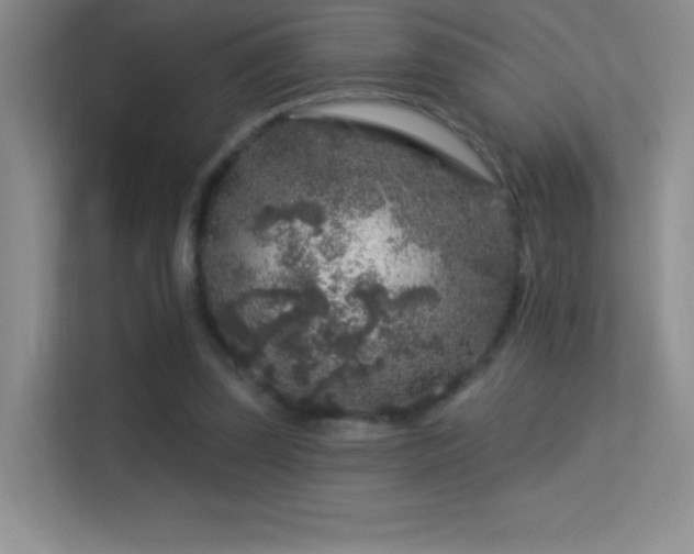 X0000113580347200909251200