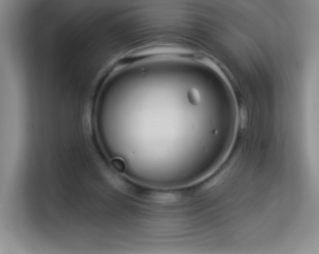 X0000113580349200909251200