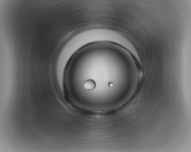 X0000113580352200909251200