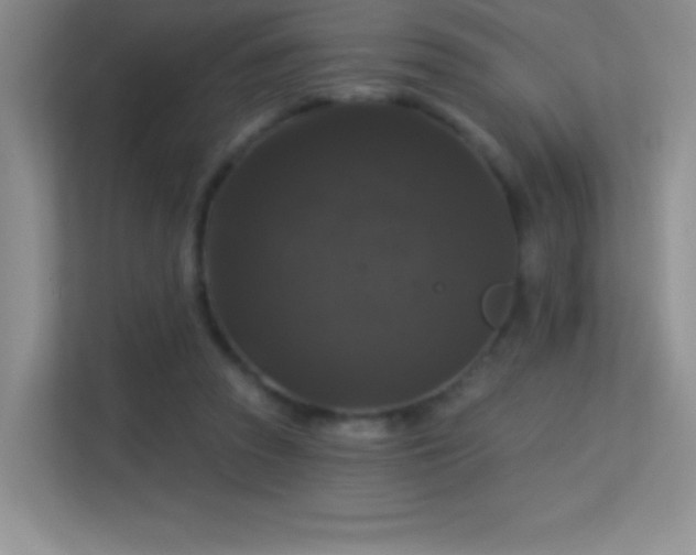 X0000113580353200909251200