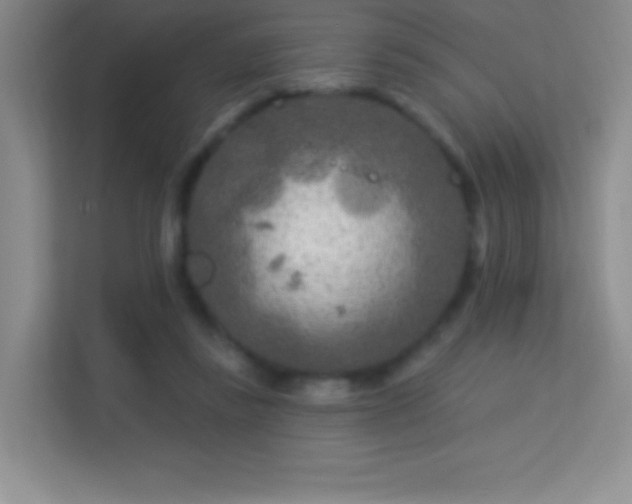 X0000113580355200909251200