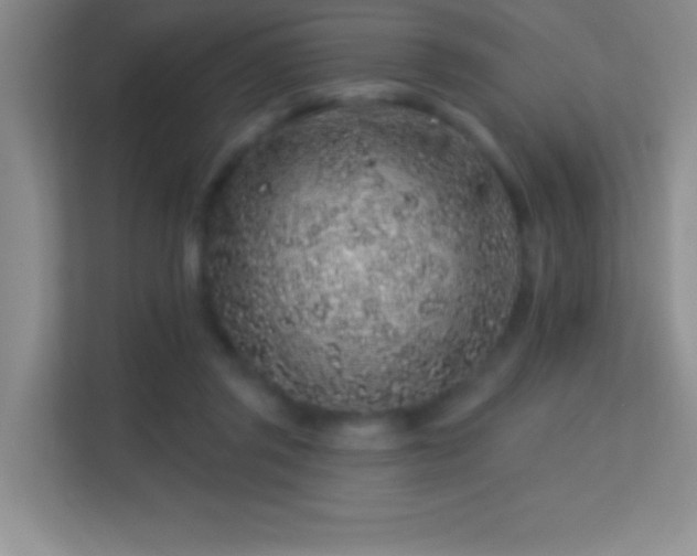 X0000113580357200909251200