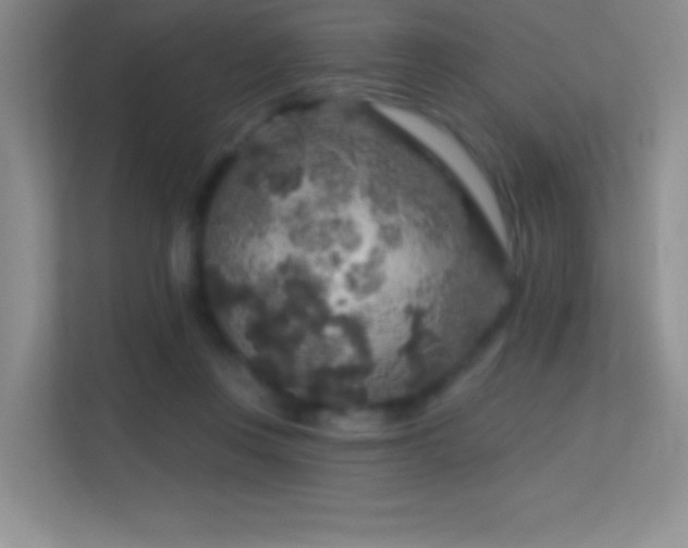 X0000113580359200909251200