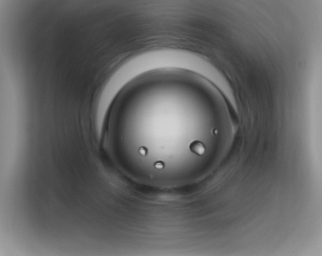 X0000113580360200909251200