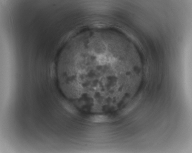 X0000113580361200909251200