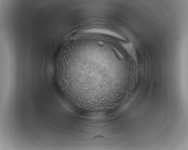 X0000113580363200909251200