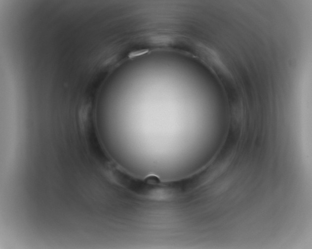 X0000113580364200909251200