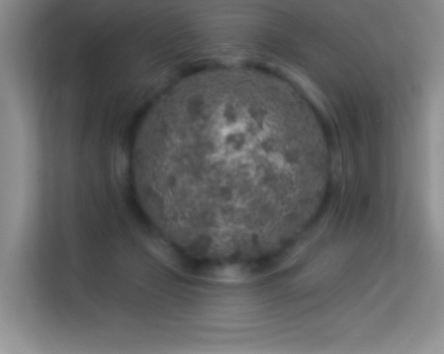 X0000113580365200909251200