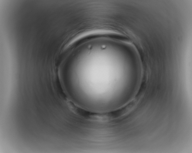 X0000113580366200909251200