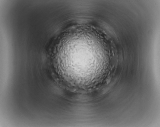 X0000113580367200909251200